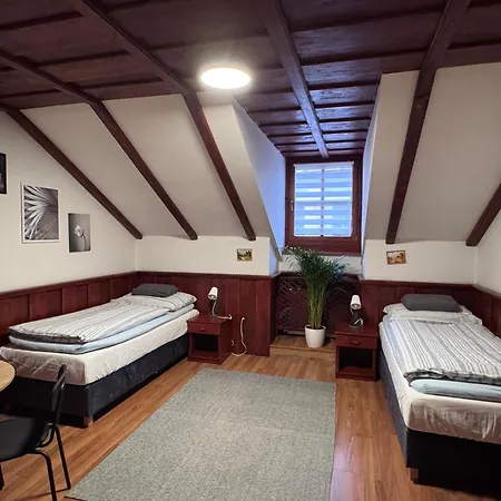 Grand, Self Check-in, Free Private Parking 2* バンスカー・ビストリツァ