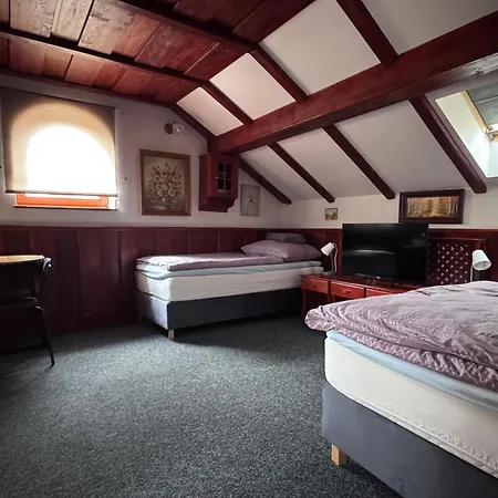 Grand, Self Check-in, Free Private Parking ゲストハウス バンスカー・ビストリツァ